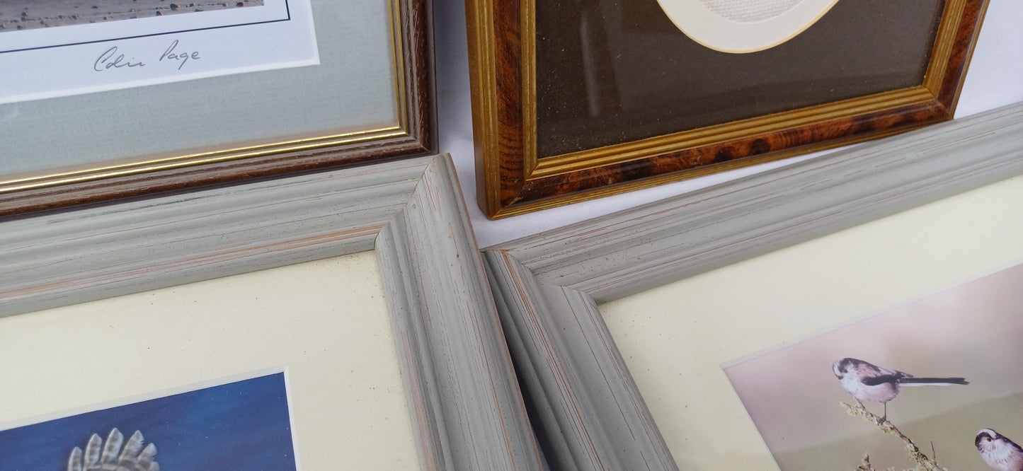 6 Collection of Vintage Pictures Picture Frames Framing Glazed Boarded Backings Frame Photo Artist Upcycling Project. Colin Page. Birds