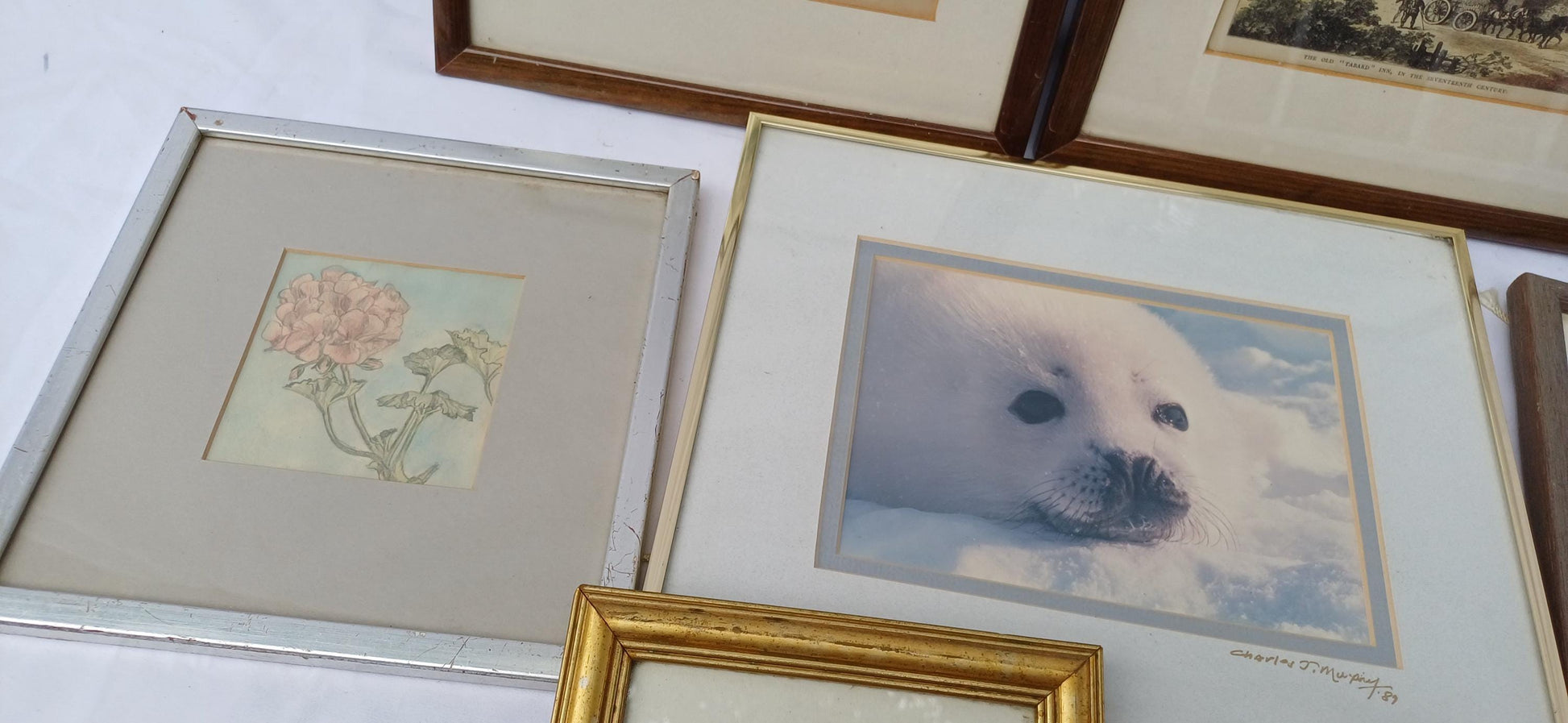 Collection of 6 Vintage Pictures Picture with Mounts Frames Framing Glazed with Boarded Backings Frame Artist Upcycling Project Photograph