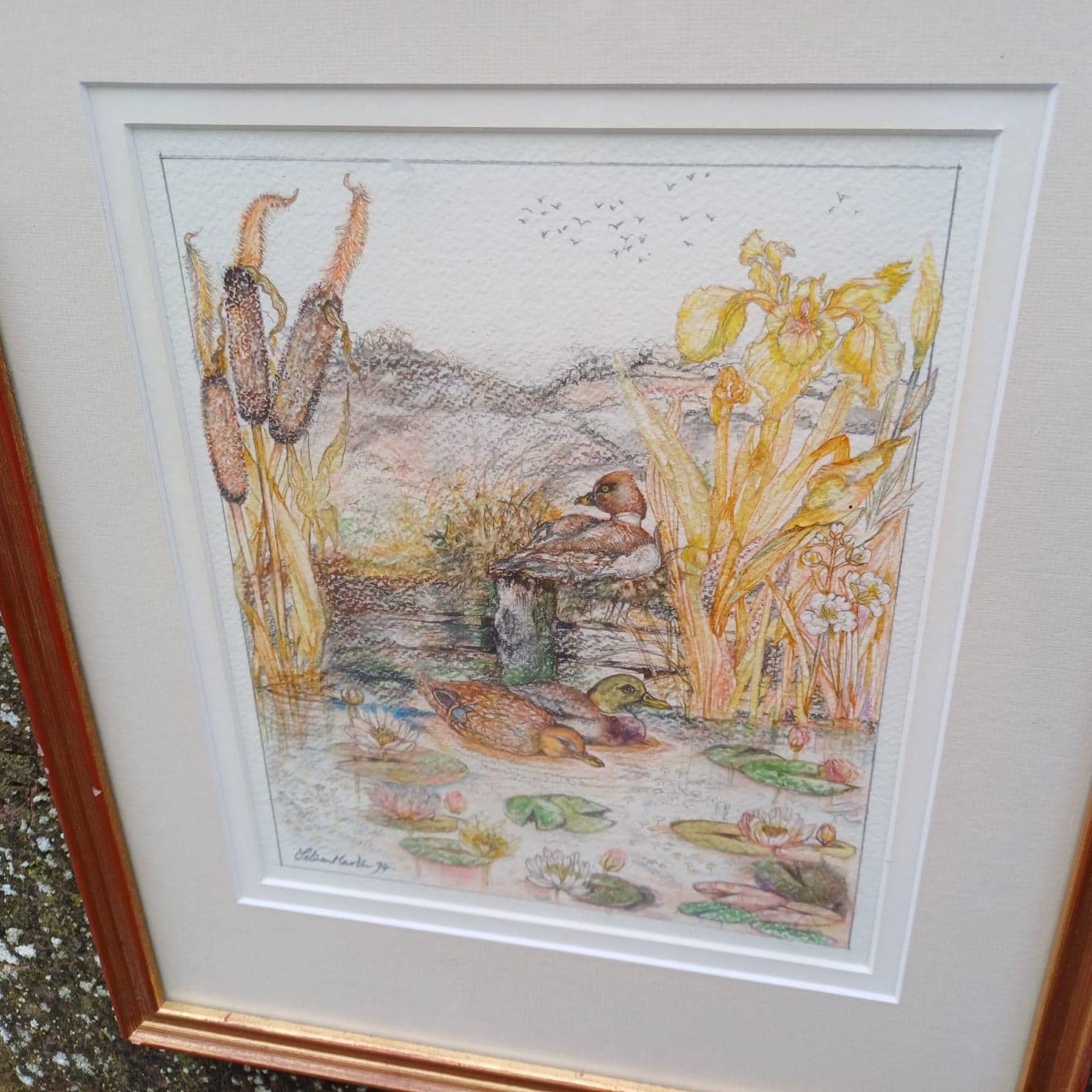 delightful vintage pencil drawing, pencil sketch, of ducks, mallards, on a pond. Glazed frame. vintage pencil drawing