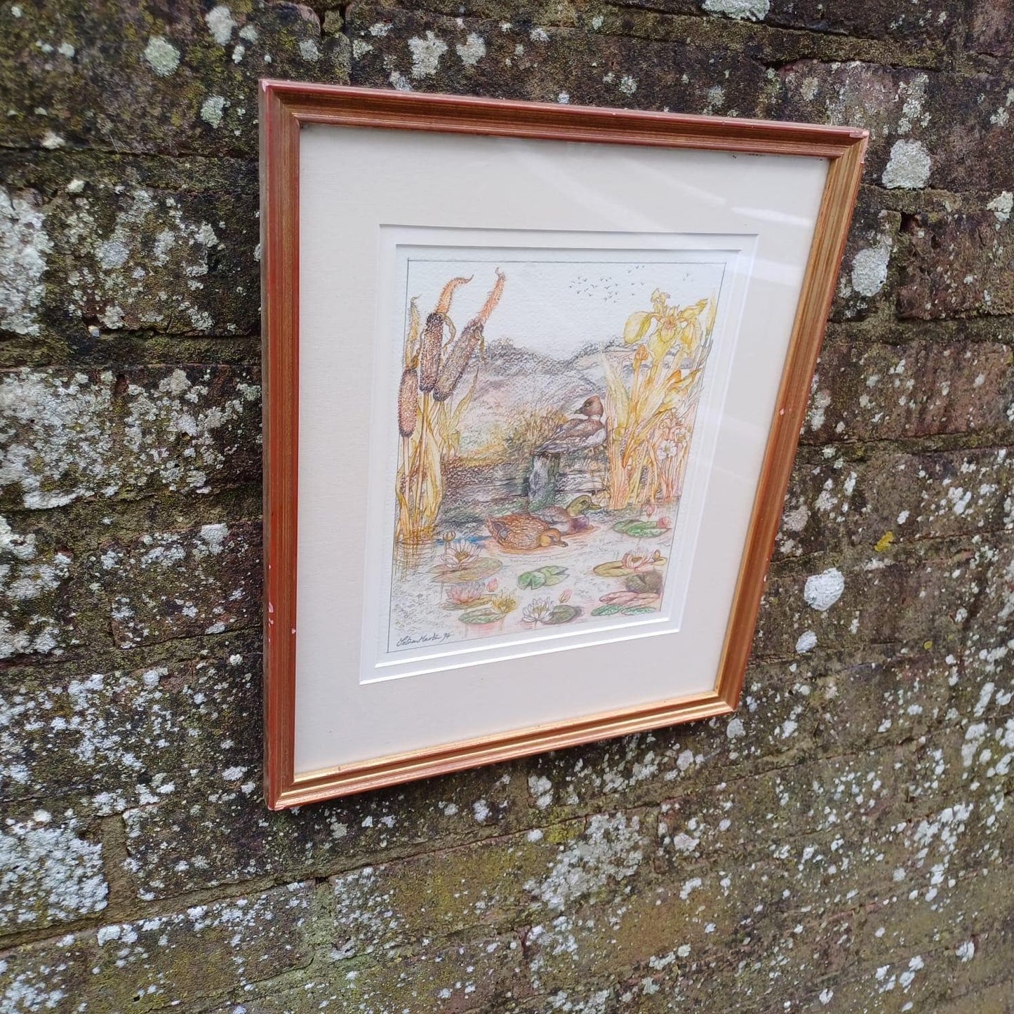 Vintage pencil drawing of Ducks in a Pond, Mallards and one other on a Pond. Countryside pencil sketch. Framed vintage sketch
