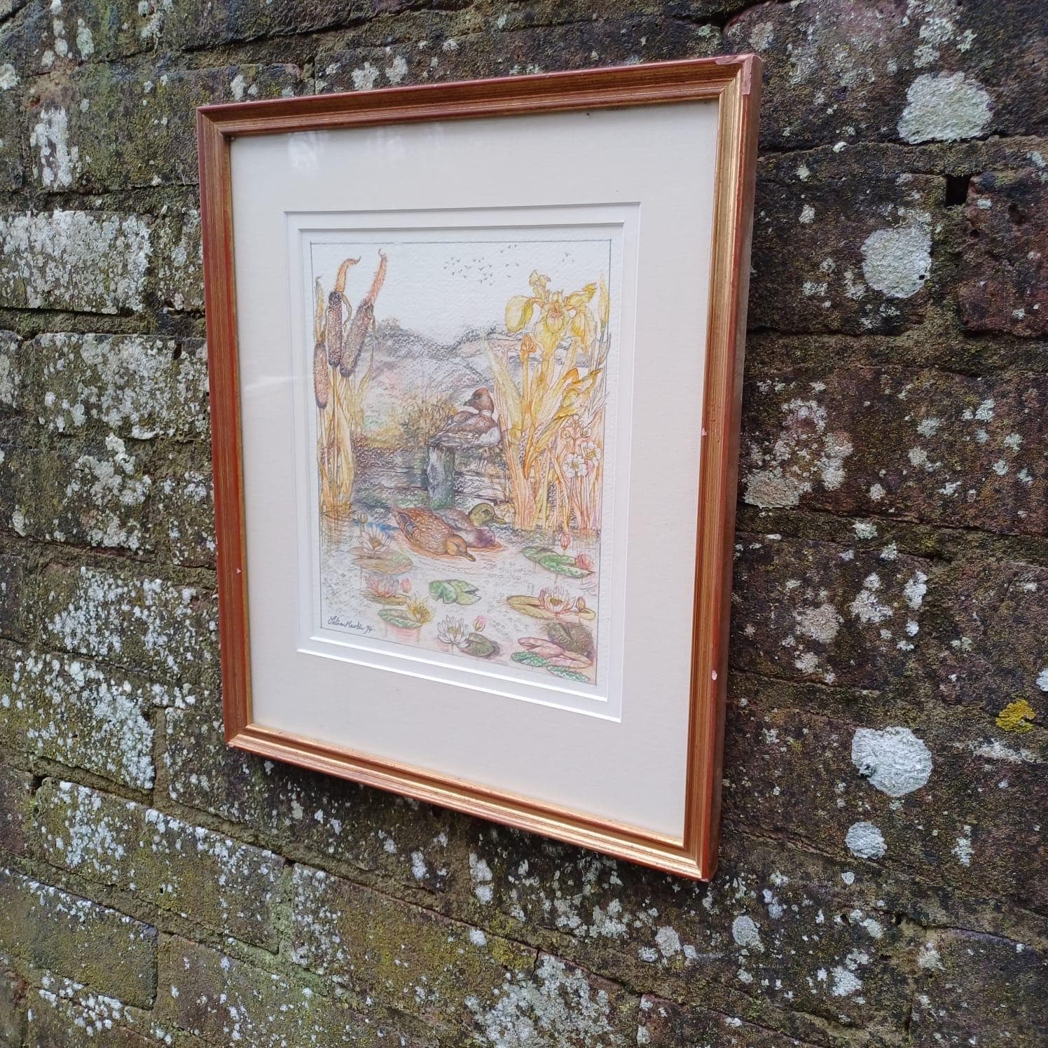 Vintage pencil drawing of Ducks in a Pond, Mallards and one other on a Pond. Countryside pencil sketch. Framed vintage sketch