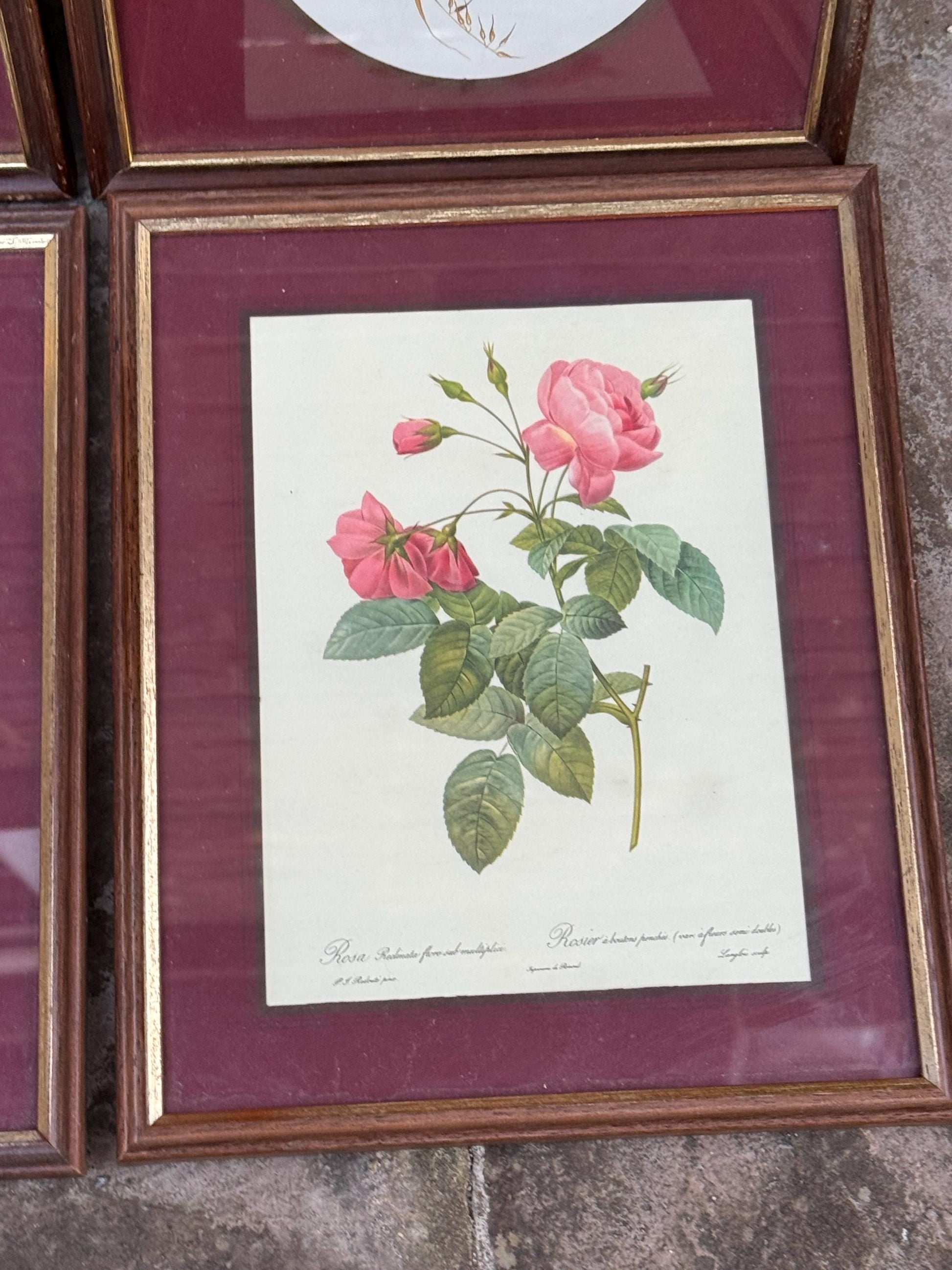 Four matching vintage wooden frames with gilt detail and glazing, small vintage frames, set of four - flower prints, maroon mounts