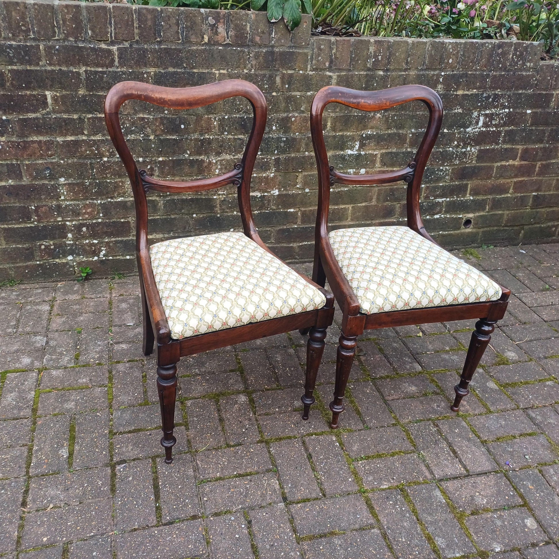 Pair of Early Antique Victorian Rosewood Balloon Back Chairs (c. 1850-1870) – New Fine Upholsterery & Elegantly Crafted FREE HAND Delivery