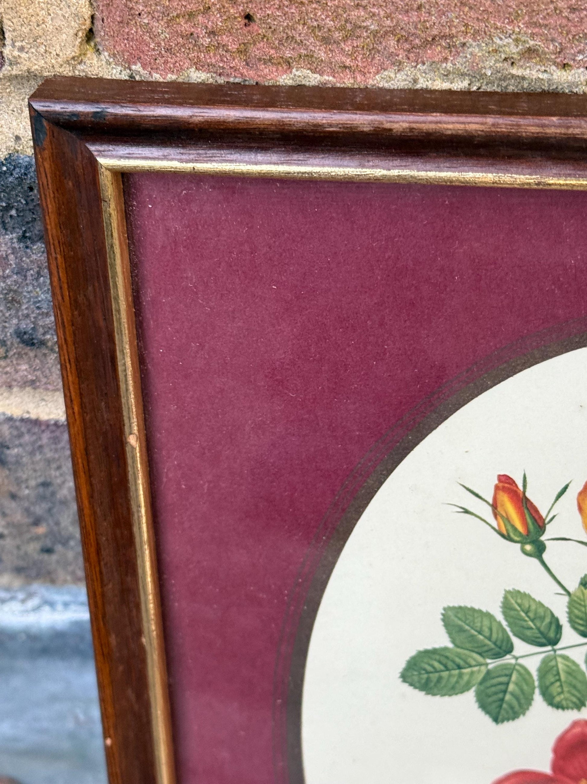 Four matching vintage wooden frames with gilt detail and glazing, small vintage frames, set of four - flower prints, maroon mounts