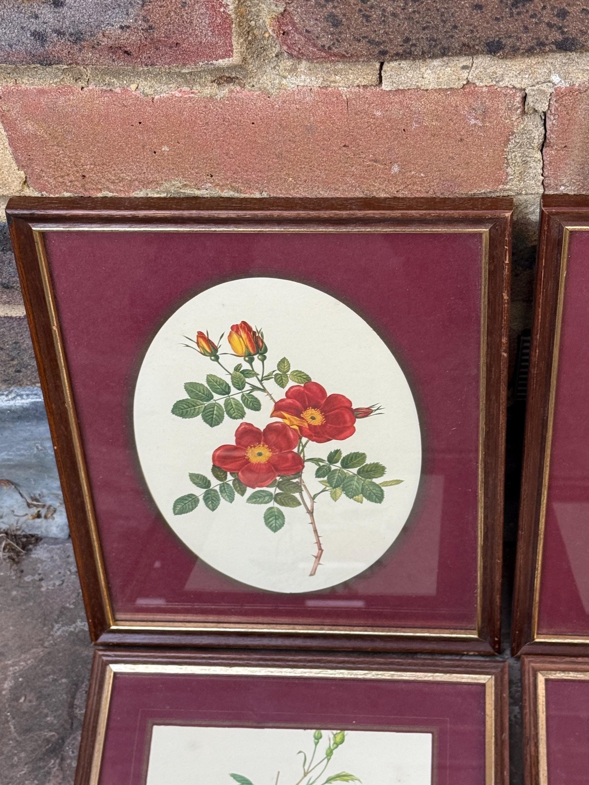 Four matching vintage wooden frames with gilt detail and glazing, small vintage frames, set of four - flower prints, maroon mounts