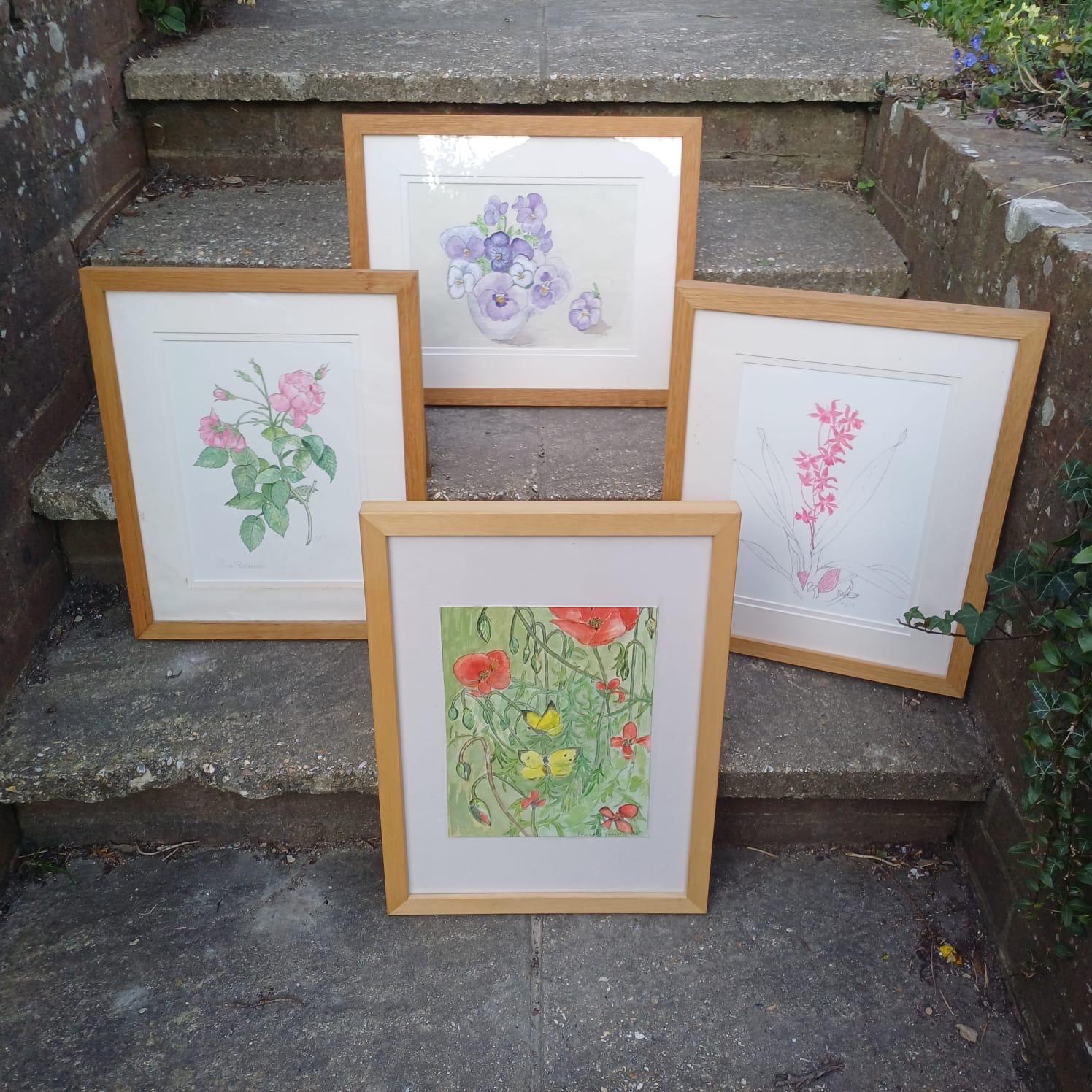 Four Vintage Frames in a light coloured wood with water colour paintings by Felicity Youlten