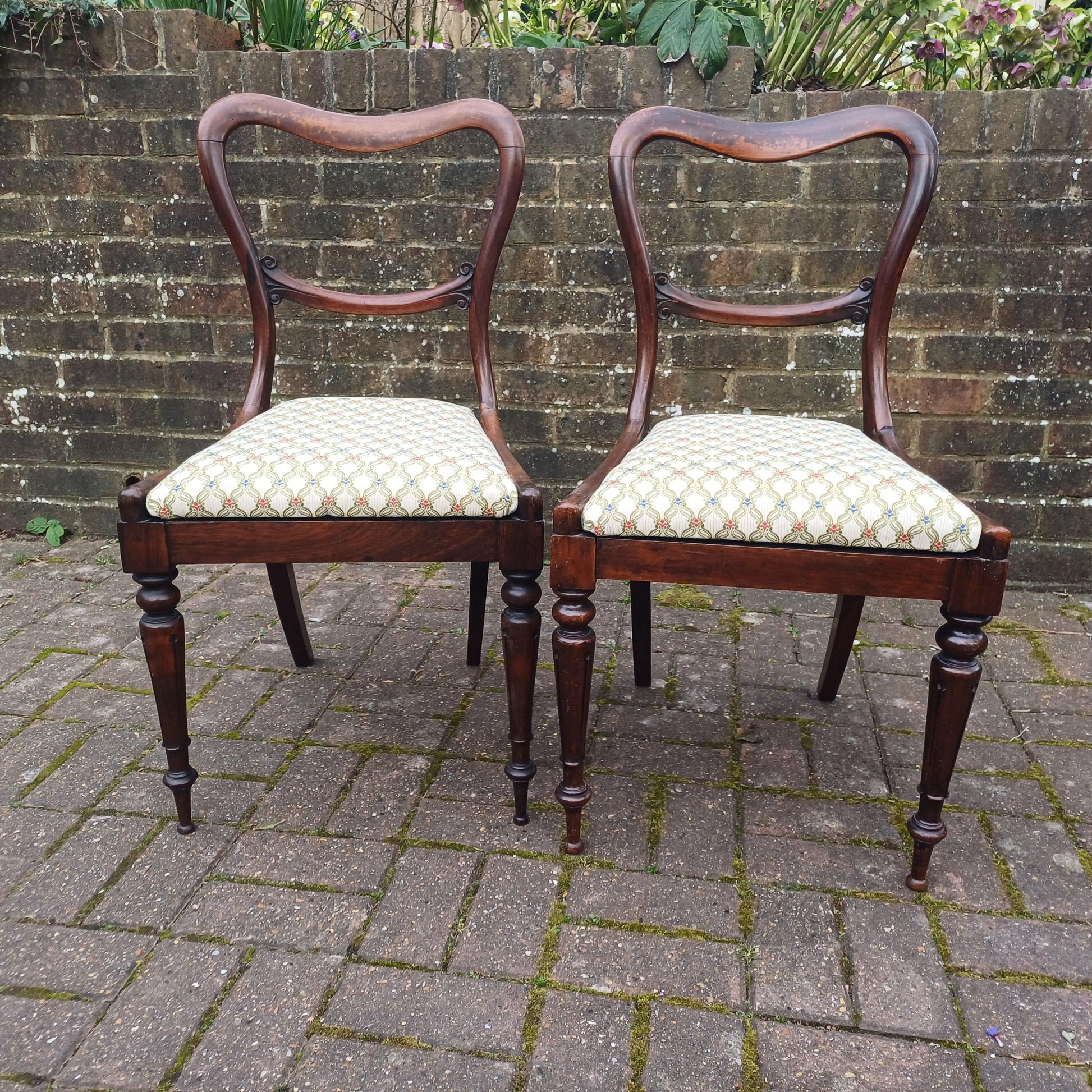 Pair of Early Antique Victorian Rosewood Balloon Back Chairs (c. 1850-1870) – New Fine Upholsterery & Elegantly Crafted FREE HAND Delivery