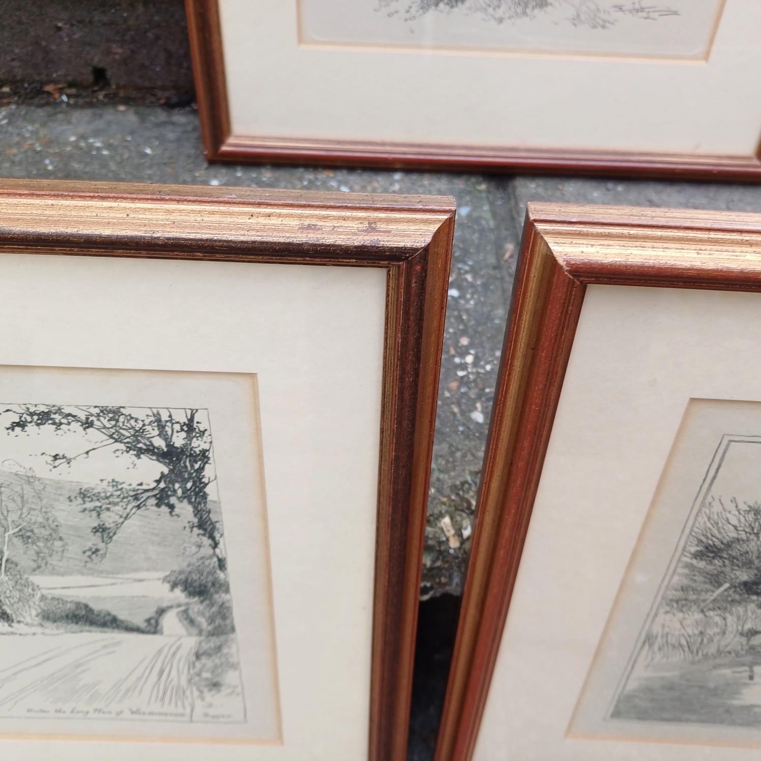 Sussex Cycling Prints - 3 pen and ink drawings of West & East Sussex Scenes, all professionally framed