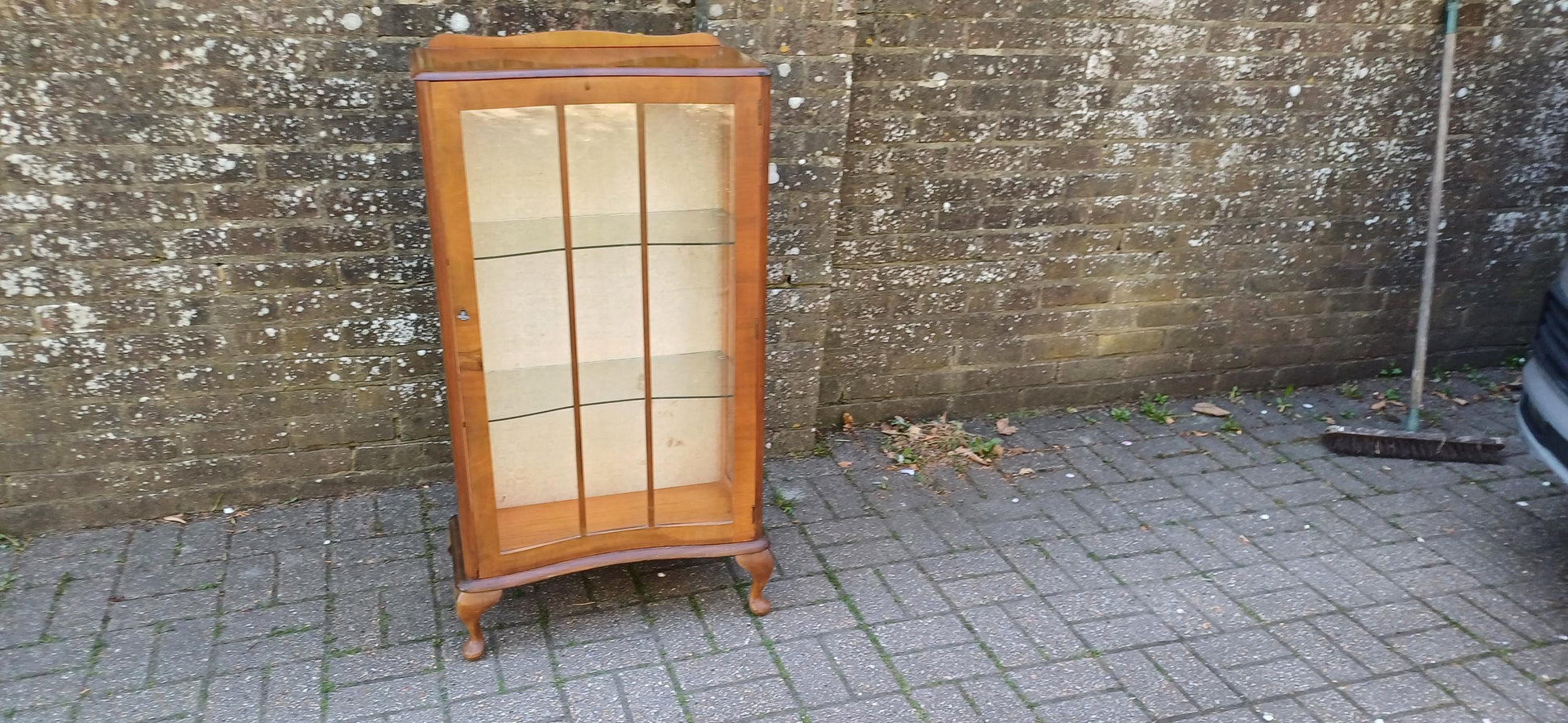 Vintage Bow Front Glass Display Cabinet Mid Century Walnut Curio Case with Cabriole Legs & Velvet Backing