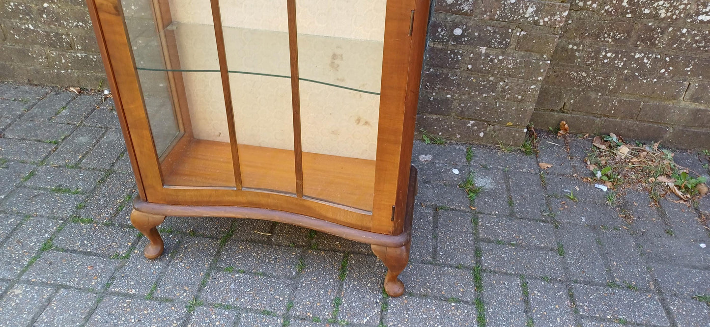 Vintage Bow Front Glass Display Cabinet Mid Century Walnut Curio Case with Cabriole Legs & Velvet Backing