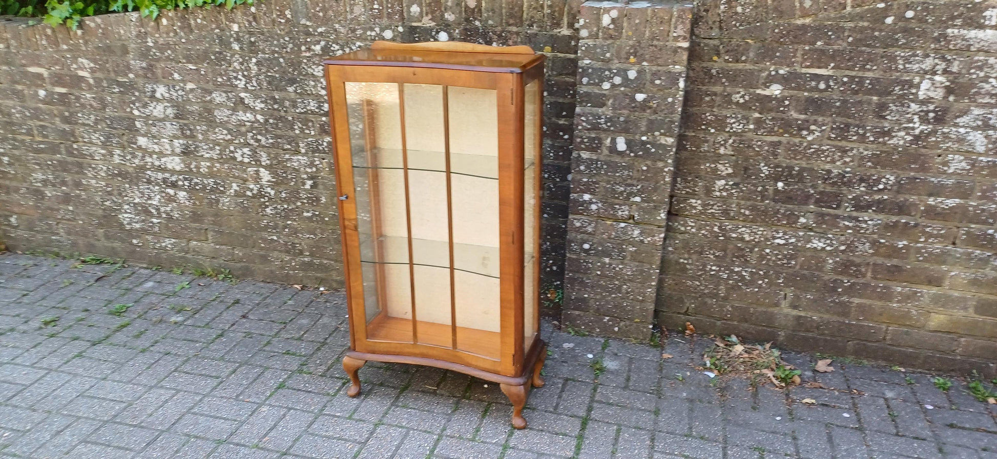 Vintage Bow Front Glass Display Cabinet Mid Century Walnut Curio Case with Cabriole Legs & Velvet Backing