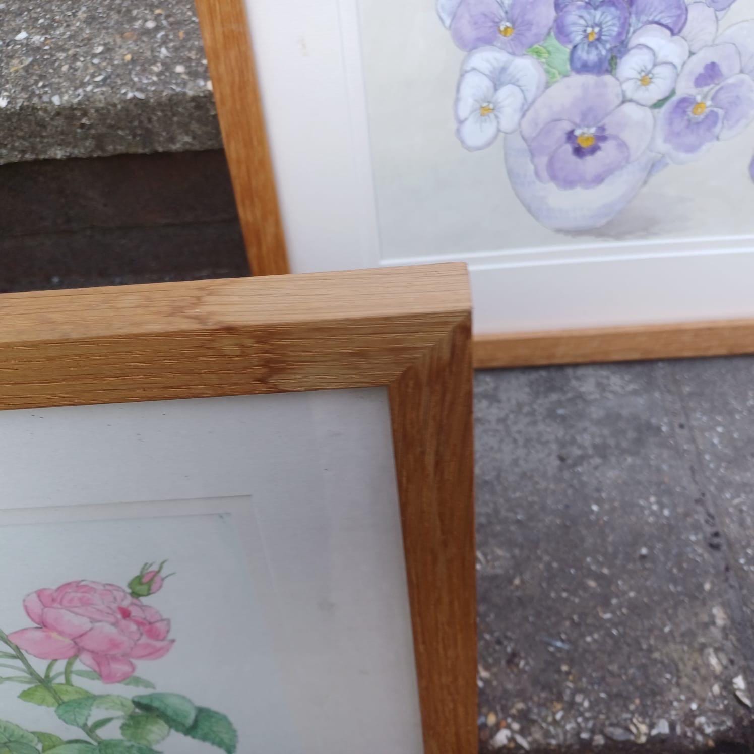 Four Vintage Frames in a light coloured wood with water colour paintings by Felicity Youlten