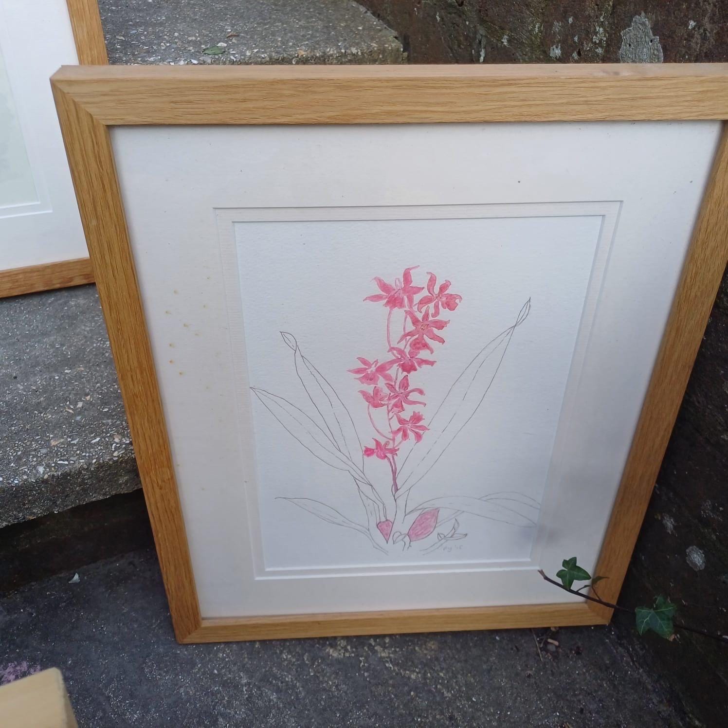 Four Vintage Frames in a light coloured wood with water colour paintings by Felicity Youlten