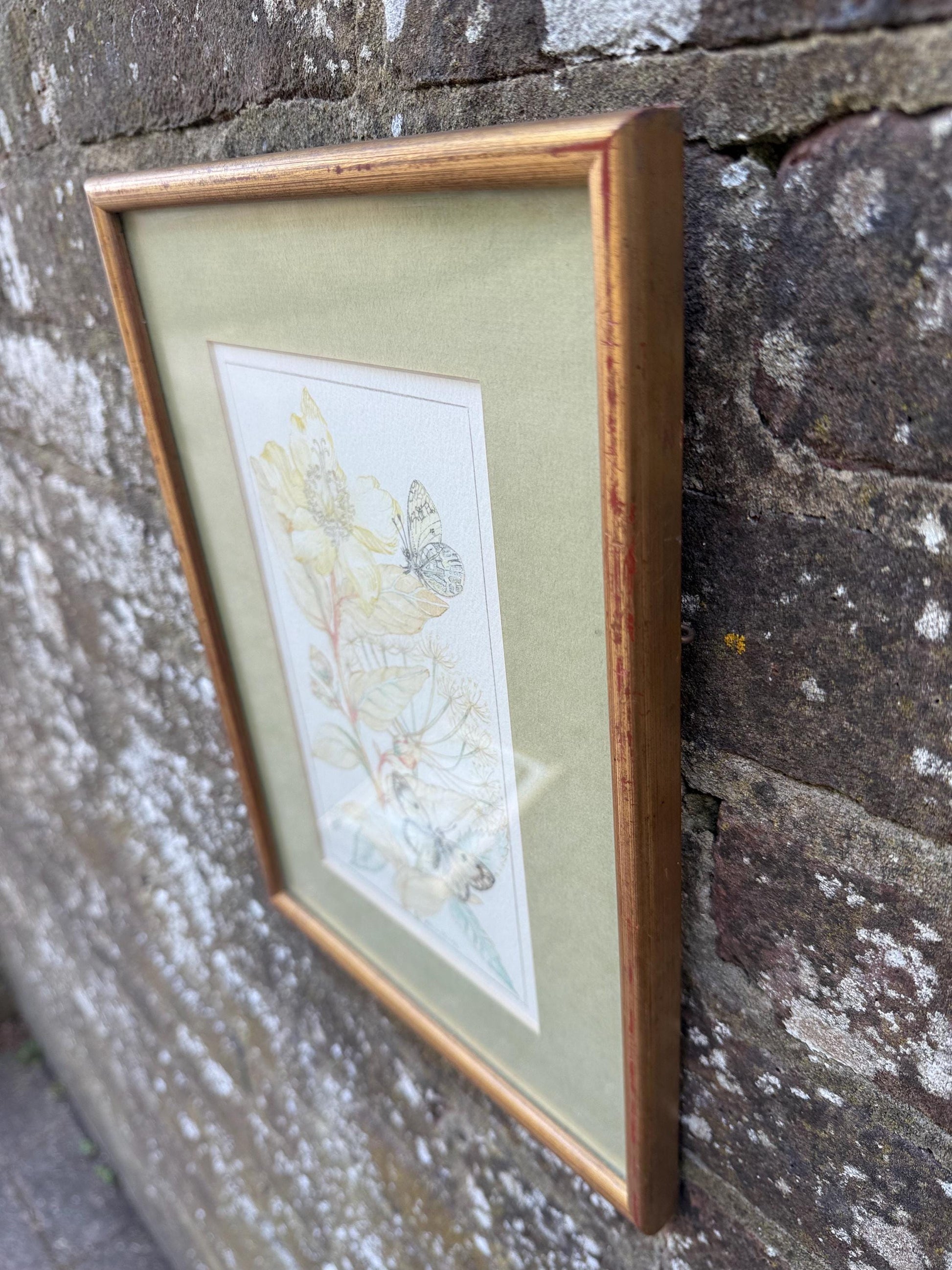 Vintage Botanical Watercolour, Rose of Sharon, by Selina Martin – Framed Floral and Butterfly Illustration, Nature-Inspired Wall Art