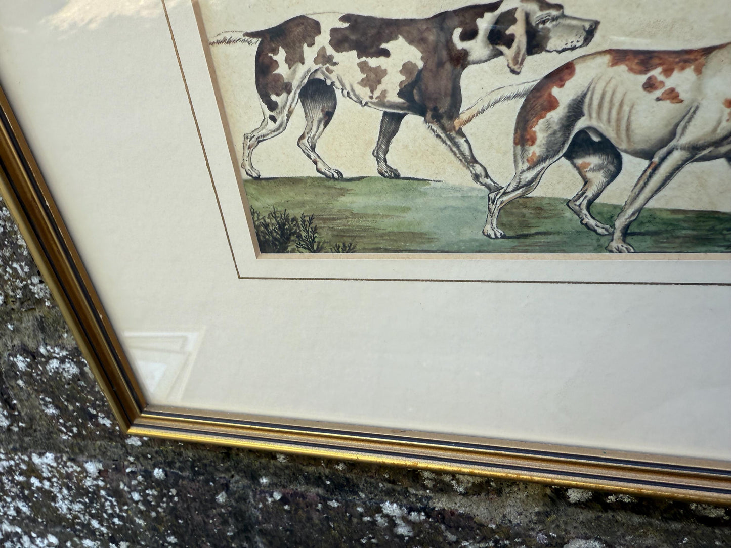 Vintage Framed British Sporting Dog Print, To Ho! Pair of English Foxhounds Illustration by Barbara Farren c 1890, Traditional Country Decor