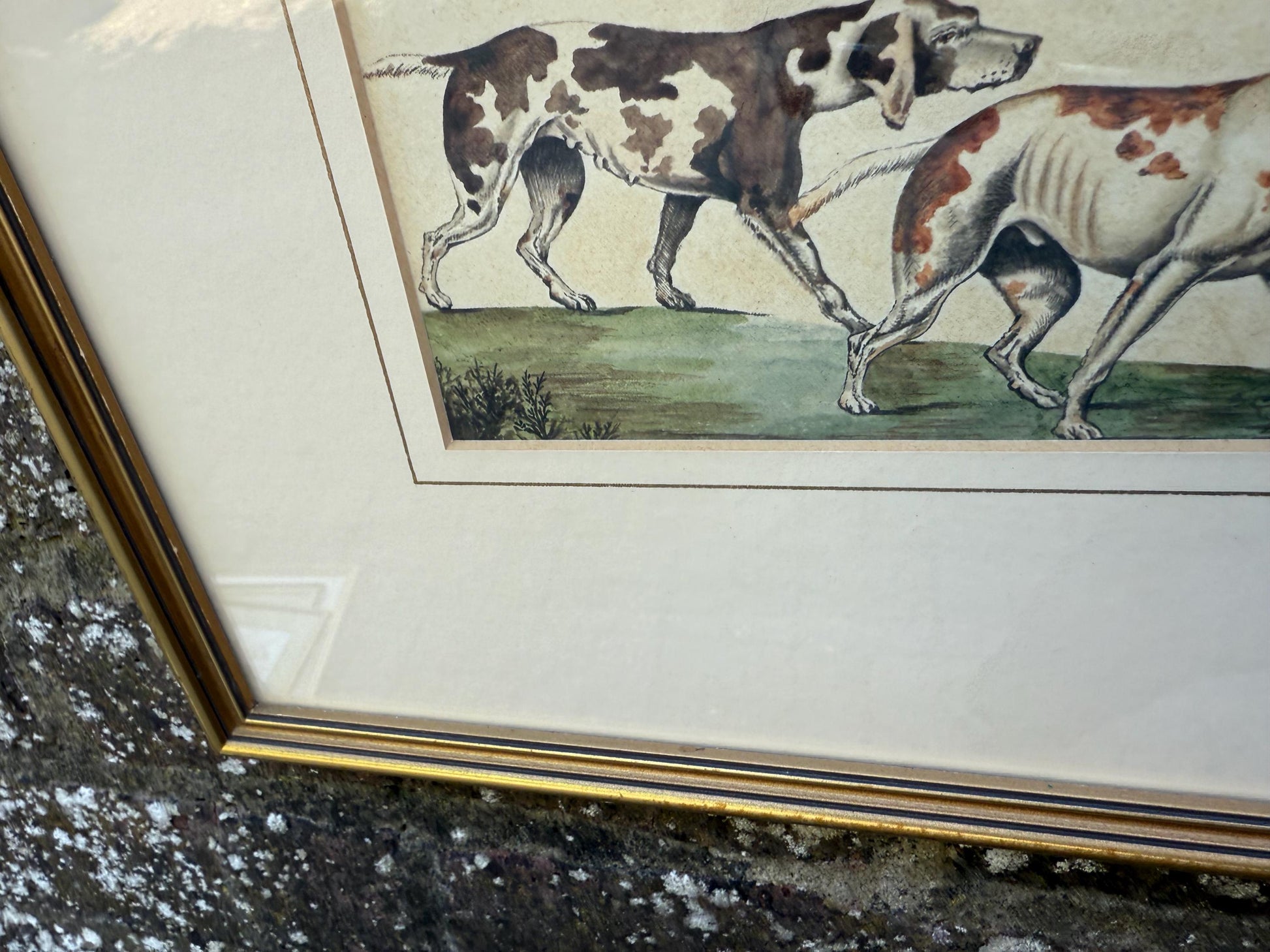 Vintage Framed British Sporting Dog Print, To Ho! Pair of English Foxhounds Illustration by Barbara Farren c 1890, Traditional Country Decor