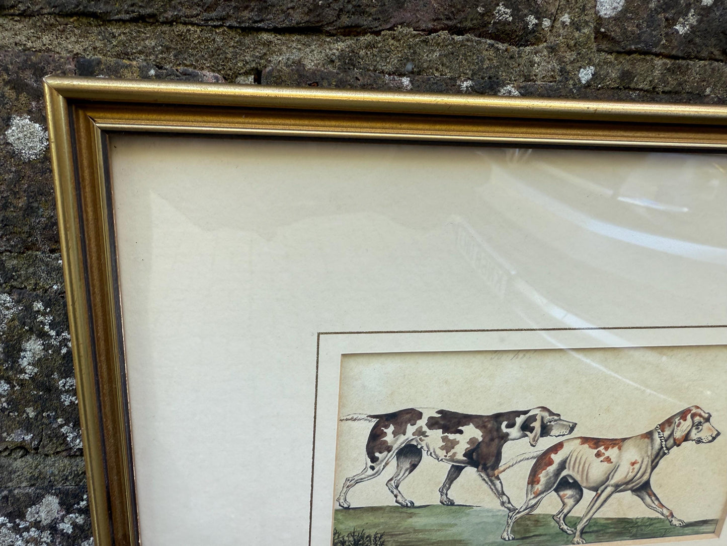 Vintage Framed British Sporting Dog Print, To Ho! Pair of English Foxhounds Illustration by Barbara Farren c 1890, Traditional Country Decor