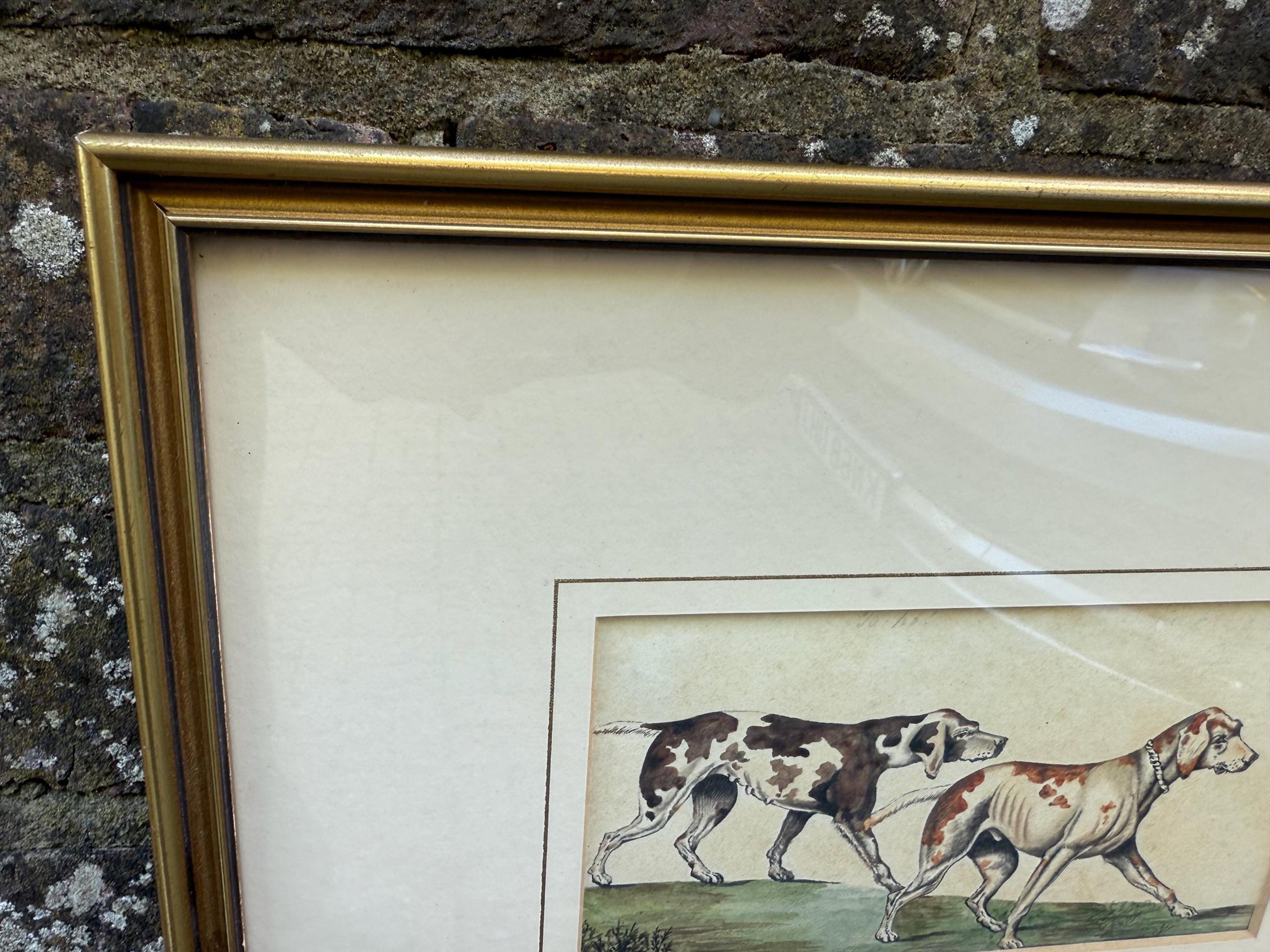 Vintage Framed British Sporting Dog Print, To Ho! Pair of English Foxhounds Illustration by Barbara Farren c 1890, Traditional Country Decor