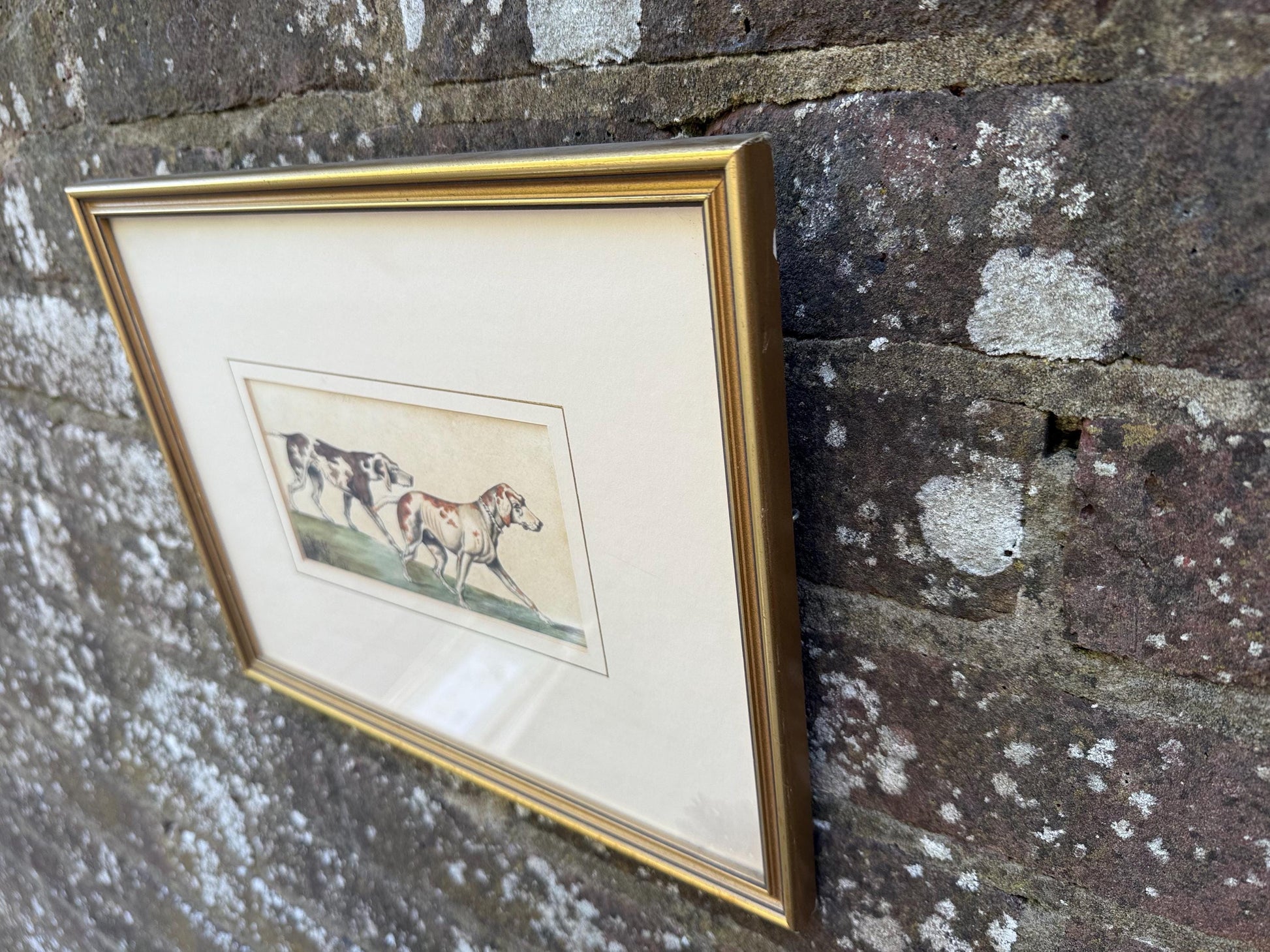 Vintage Framed British Sporting Dog Print, To Ho! Pair of English Foxhounds Illustration by Barbara Farren c 1890, Traditional Country Decor