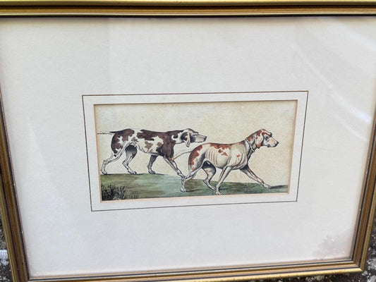 excellent illustration of English Foxhounds, British sporting dogs, hunting dogs, hunting hounds. Gorgeous animals walking.