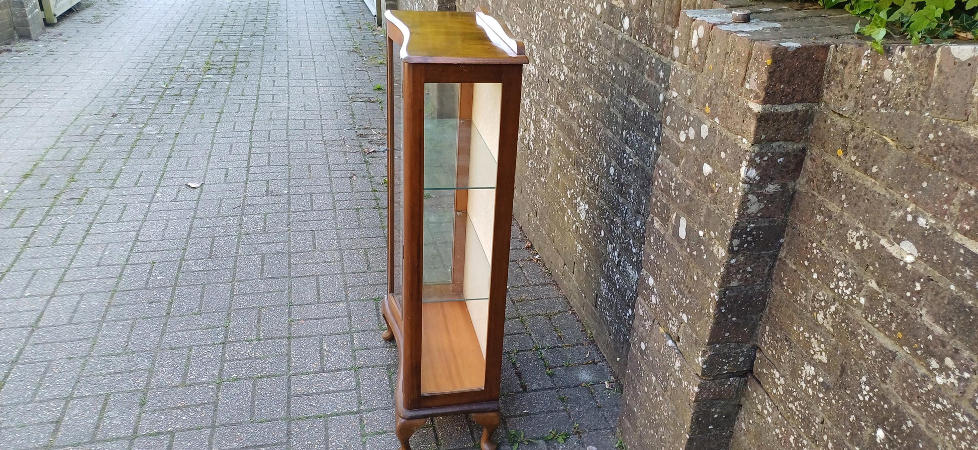 Vintage Bow Front Glass Display Cabinet Mid Century Walnut Curio Case with Cabriole Legs & Velvet Backing