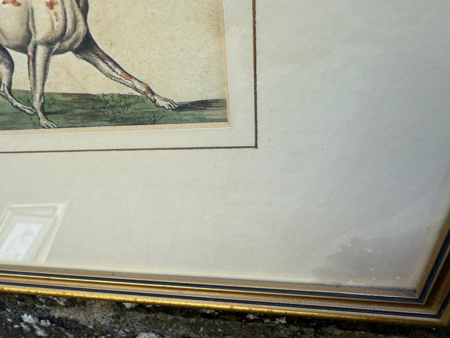 Vintage Framed British Sporting Dog Print, To Ho! Pair of English Foxhounds Illustration by Barbara Farren c 1890, Traditional Country Decor