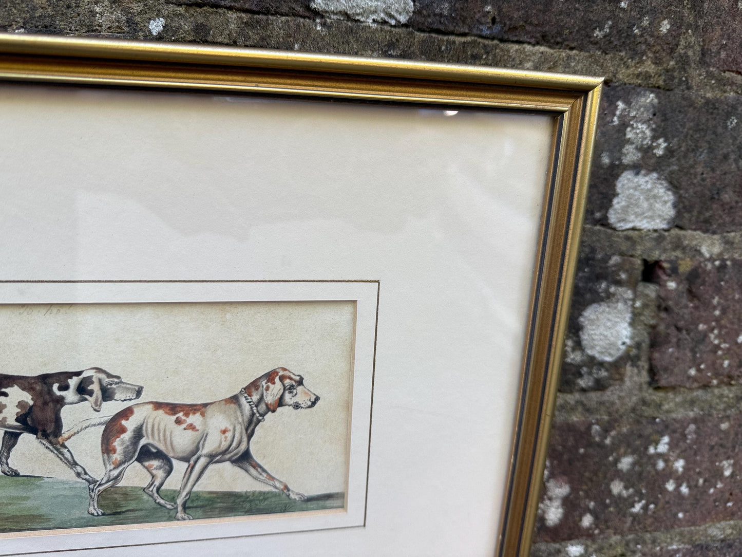 Vintage Framed British Sporting Dog Print, To Ho! Pair of English Foxhounds Illustration by Barbara Farren c 1890, Traditional Country Decor