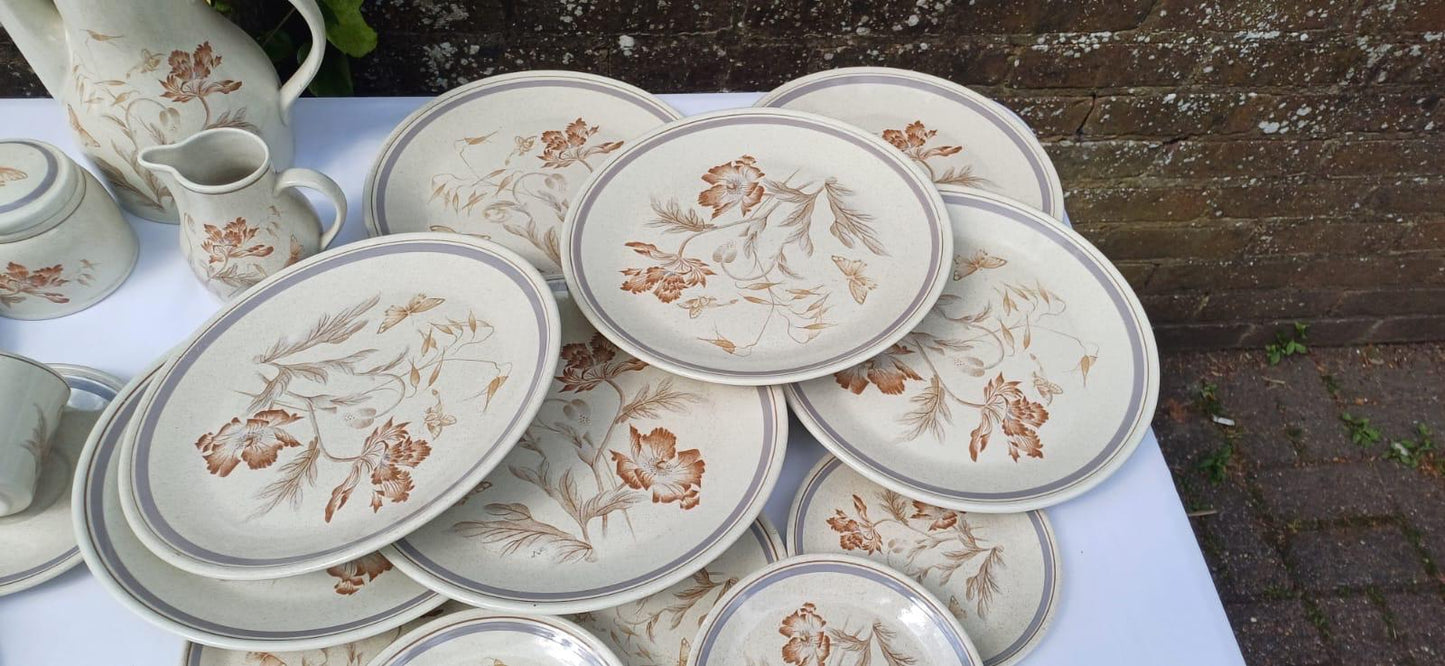 Rare Vintage Royal Albert Summer Fantasy Country Garden Stoneware Dinner Set – min 6 place set, Floral & Butterfly Retro - 44 pieces