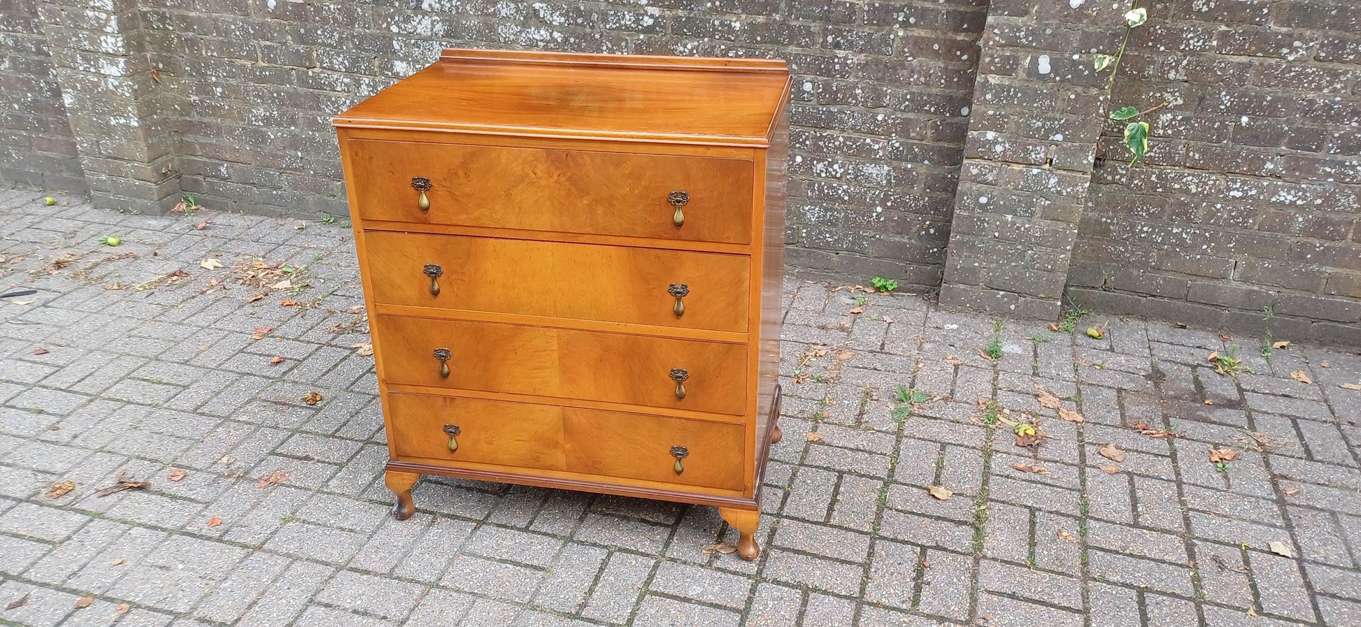 Vintage Georgian Style Burr Walnut Veneer Chest of Drawers on Cabriole Legs 20th Century Tallboy with Serpentine Front FREE HAND Delivery