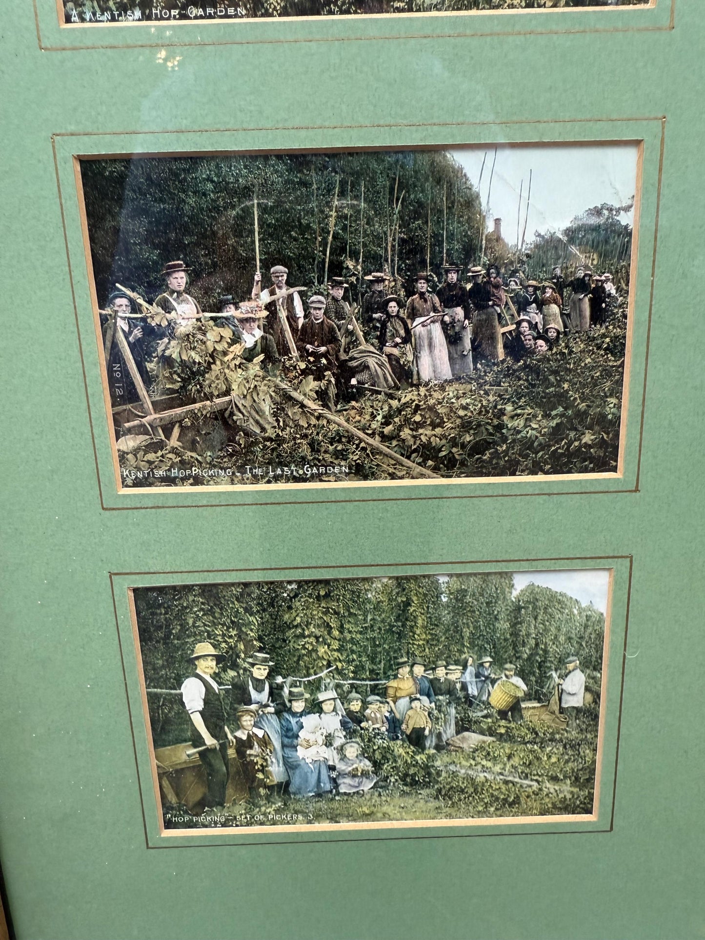 Antique Edwardian Hop Picking - Kent Series - Invicta - hand tinted postcards with original stamps, Kent memorabilia, incl Italian address