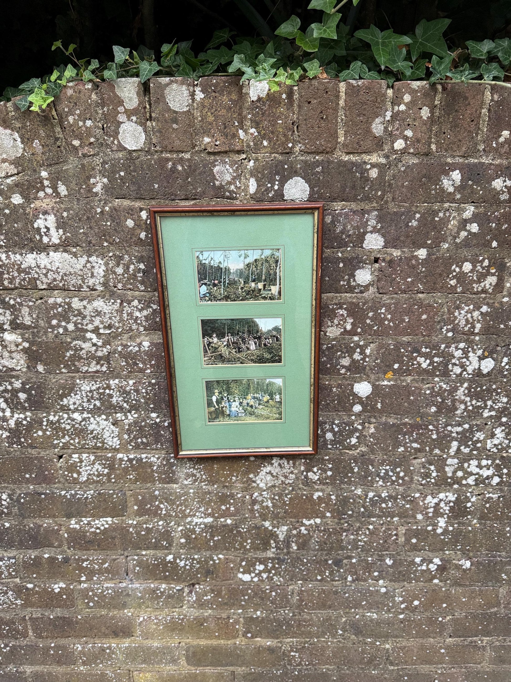 Antique Edwardian Hop Picking - Kent Series - Invicta - hand tinted postcards with original stamps, Kent memorabilia, incl Italian address