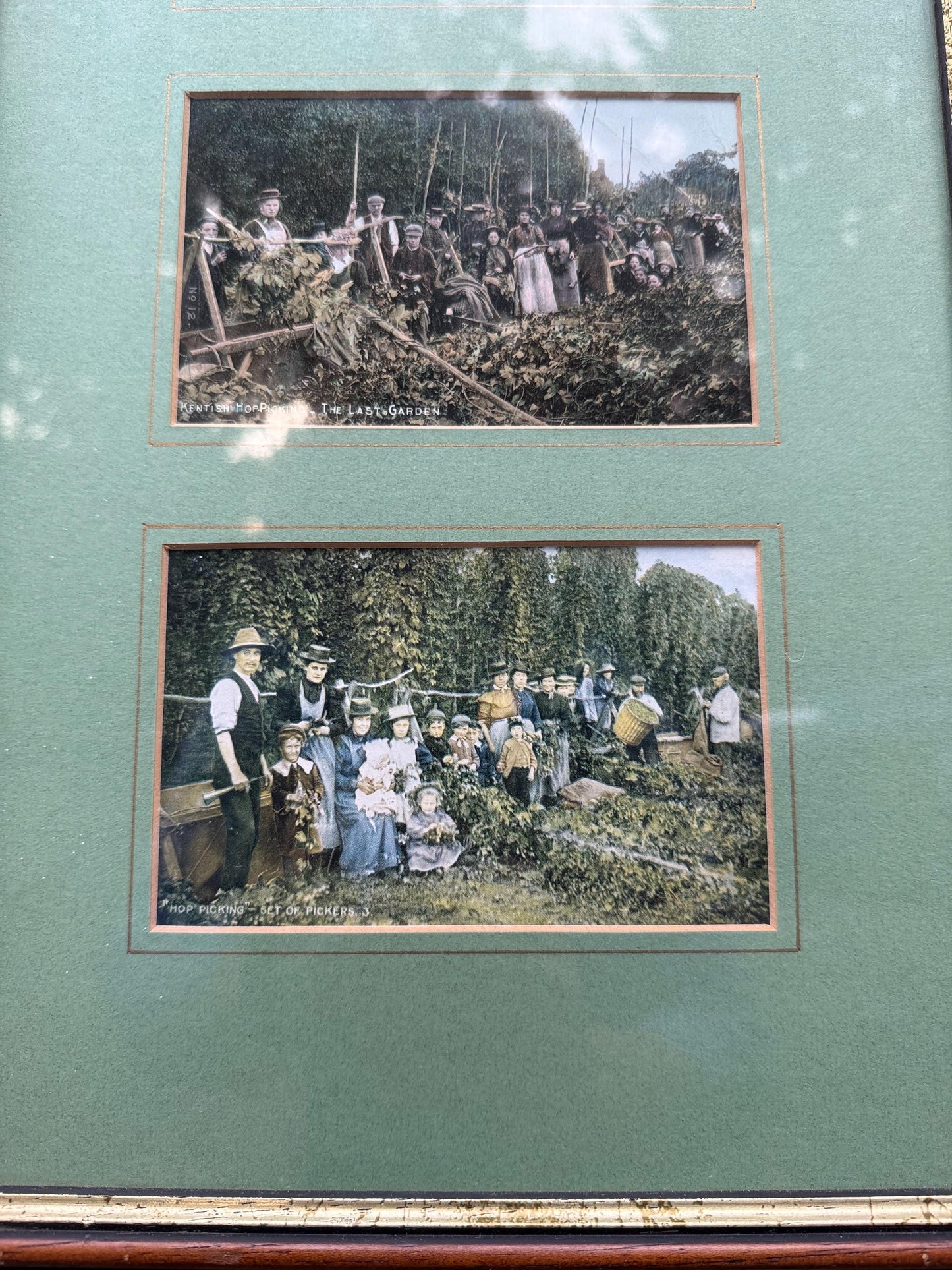 Antique Edwardian Hop Picking - Kent Series - Invicta - hand tinted postcards with original stamps, Kent memorabilia, incl Italian address