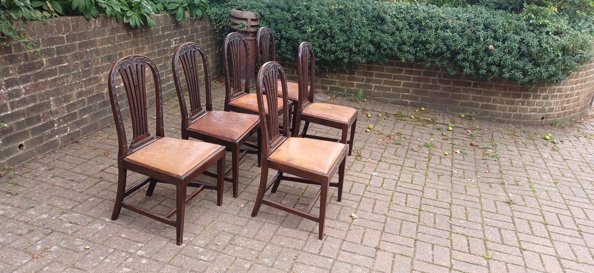 Set of 6 Antique Edwardian Dining Chairs Carved Backs and Original Leather Seats Mahogany c.1900 Arts & Crafts Revival FREE HAND Delivery