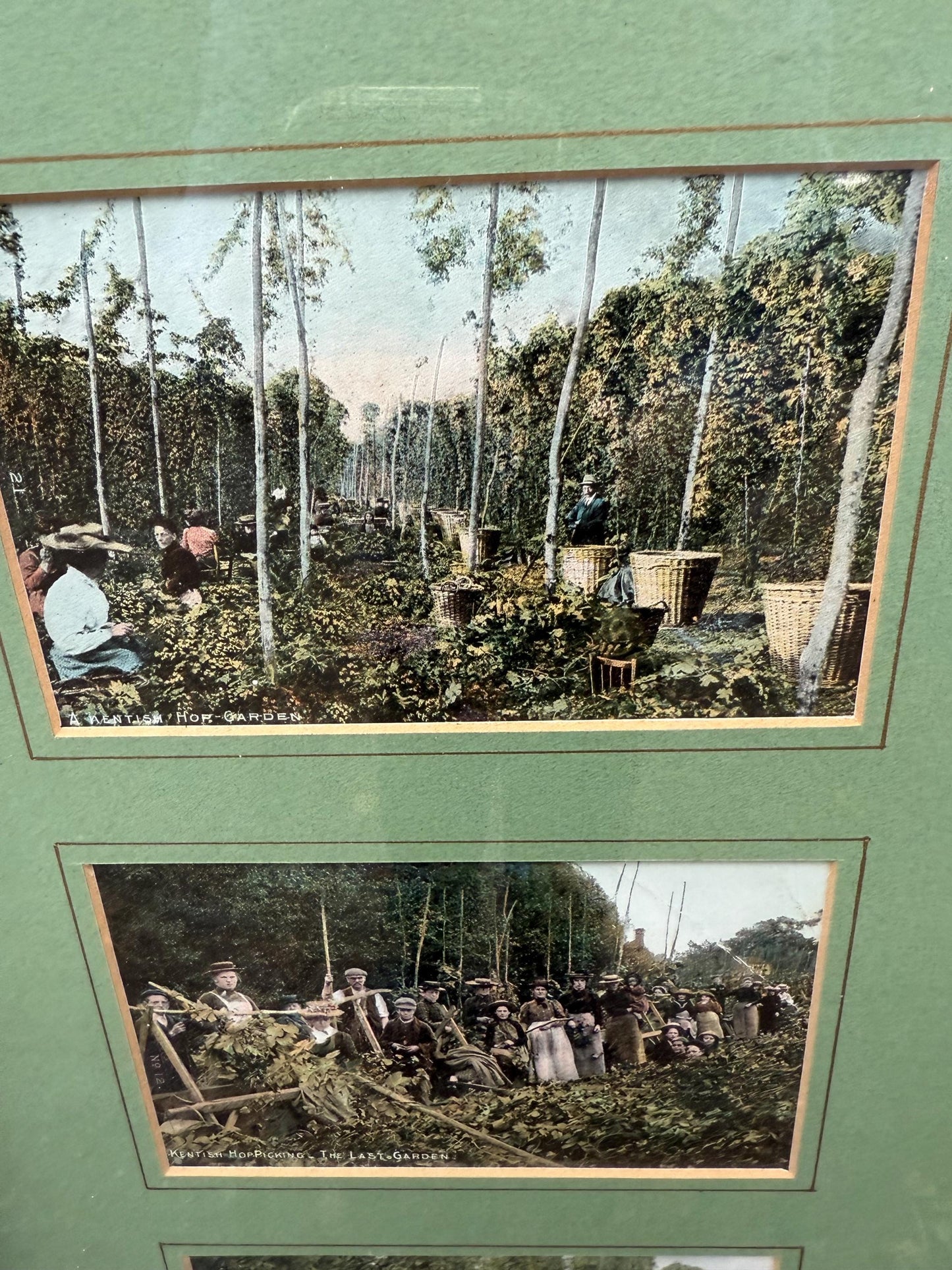 Antique Edwardian Hop Picking - Kent Series - Invicta - hand tinted postcards with original stamps, Kent memorabilia, incl Italian address