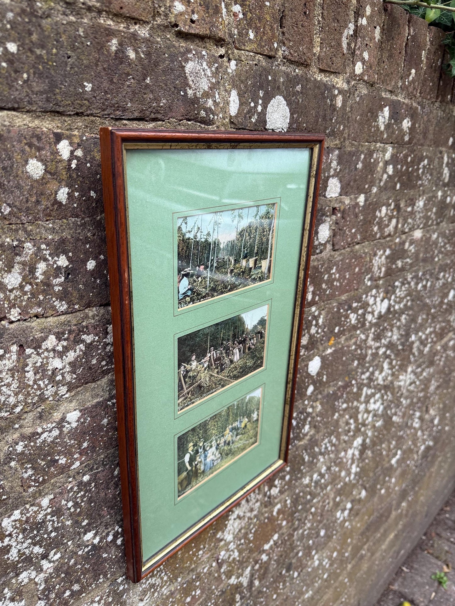 Antique Edwardian Hop Picking - Kent Series - Invicta - hand tinted postcards with original stamps, Kent memorabilia, incl Italian address