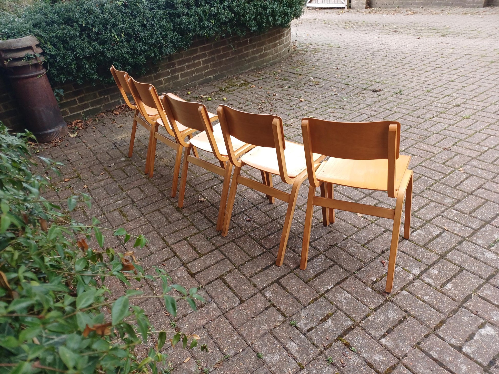 Vintage 1980s Bentwood Plywood Stacking Chairs – Set of 5 Blonde Beech Kitchen or Café Chairs, Retro Modernist Design FREE HAND Delivery