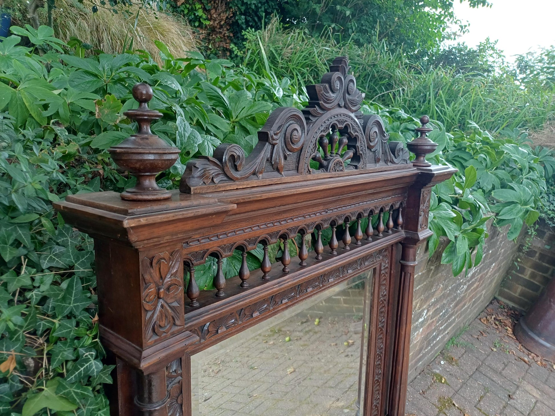 oak om