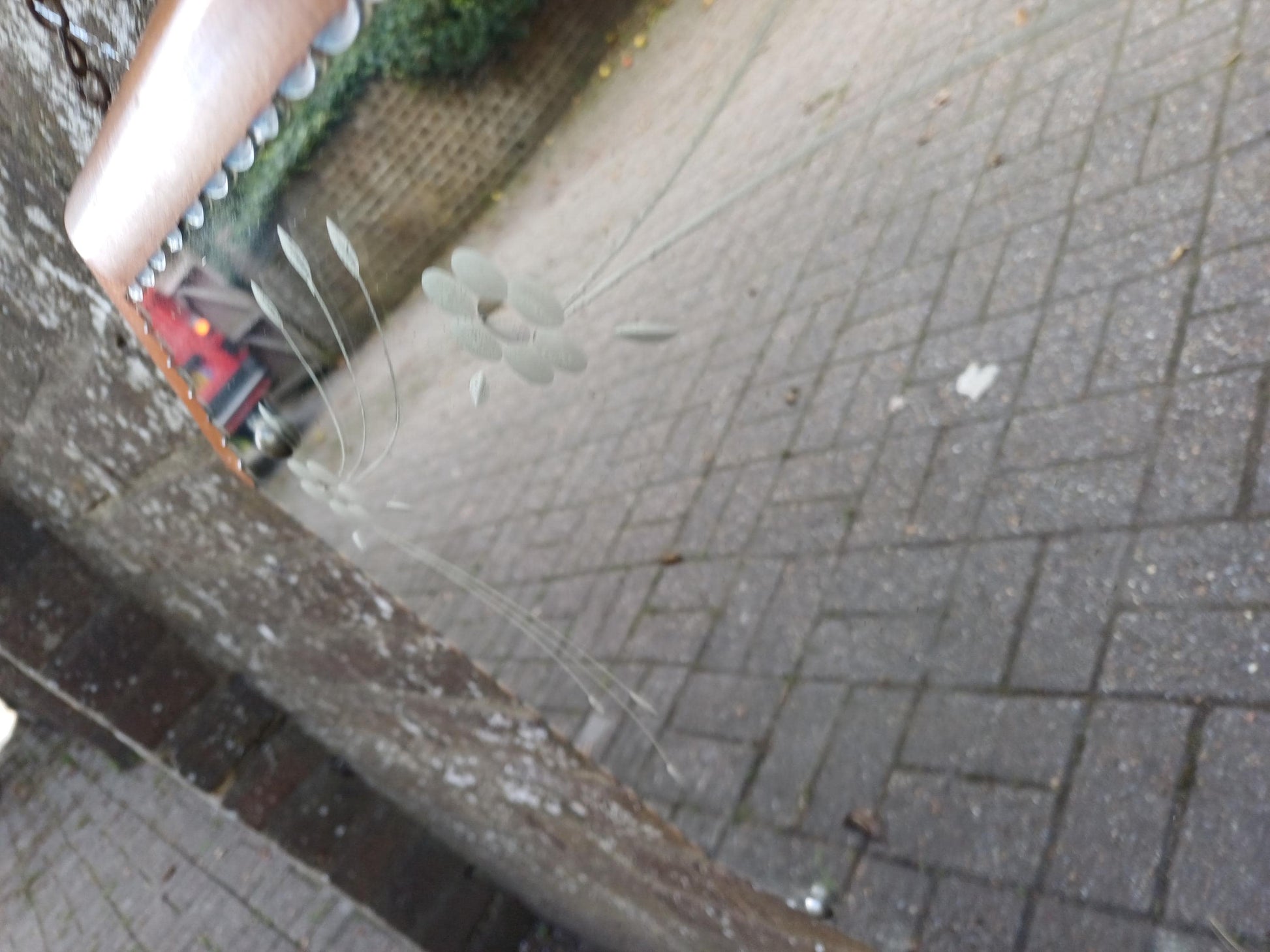 1930s Art Deco Etched Wall Mirror, Vintage Scalloped Bevelled Glass with Walnut Veneer Frame and Original Chain