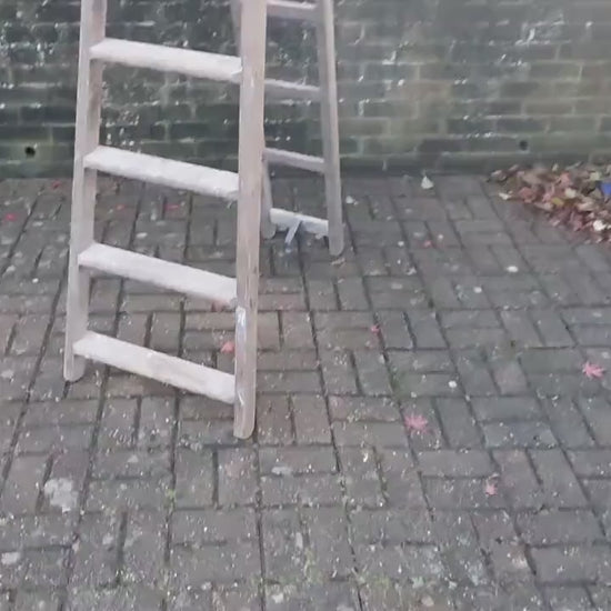 Massive Vintage Pine Step Ladder Also Extends Into Full Double Ladder Shop Display. 12 ft!