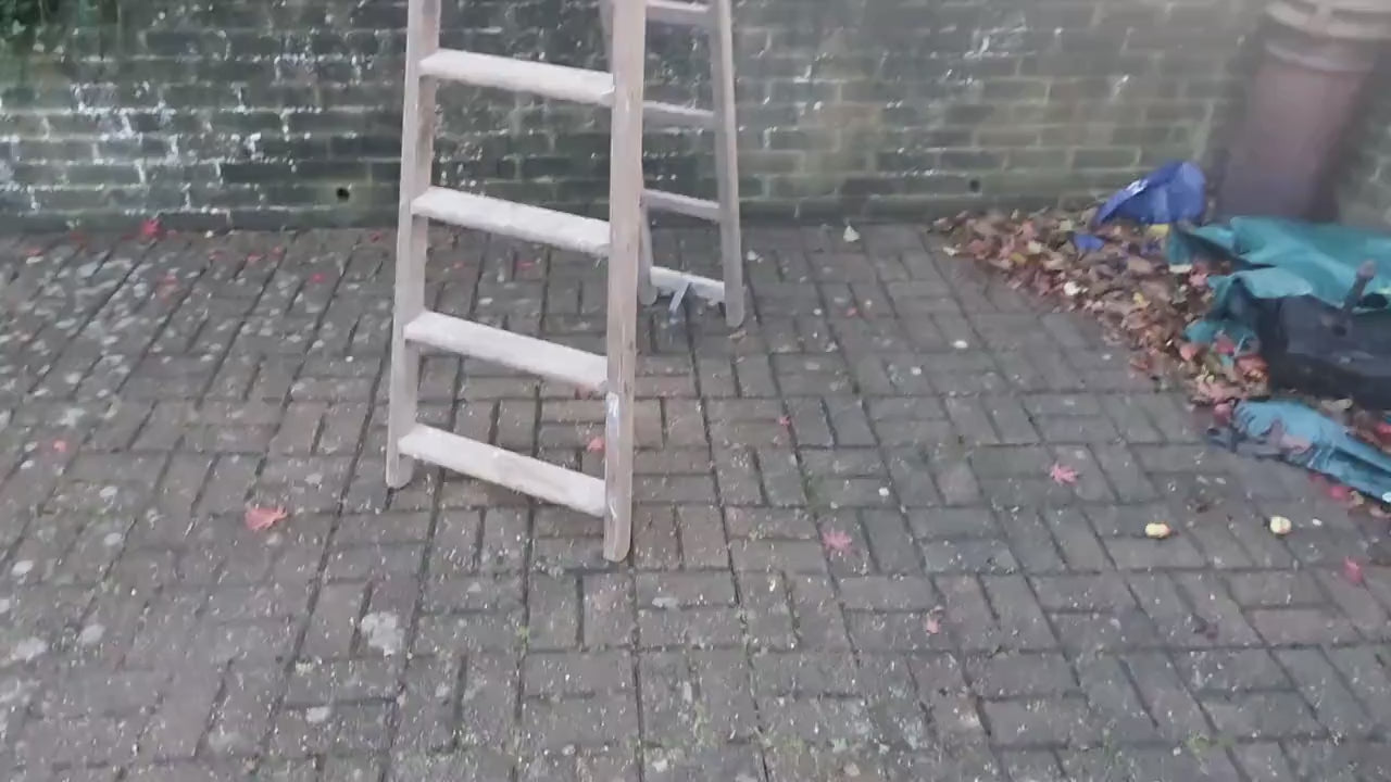 Massive Vintage Pine Step Ladder Also Extends Into Full Double Ladder Shop Display. 12 ft!